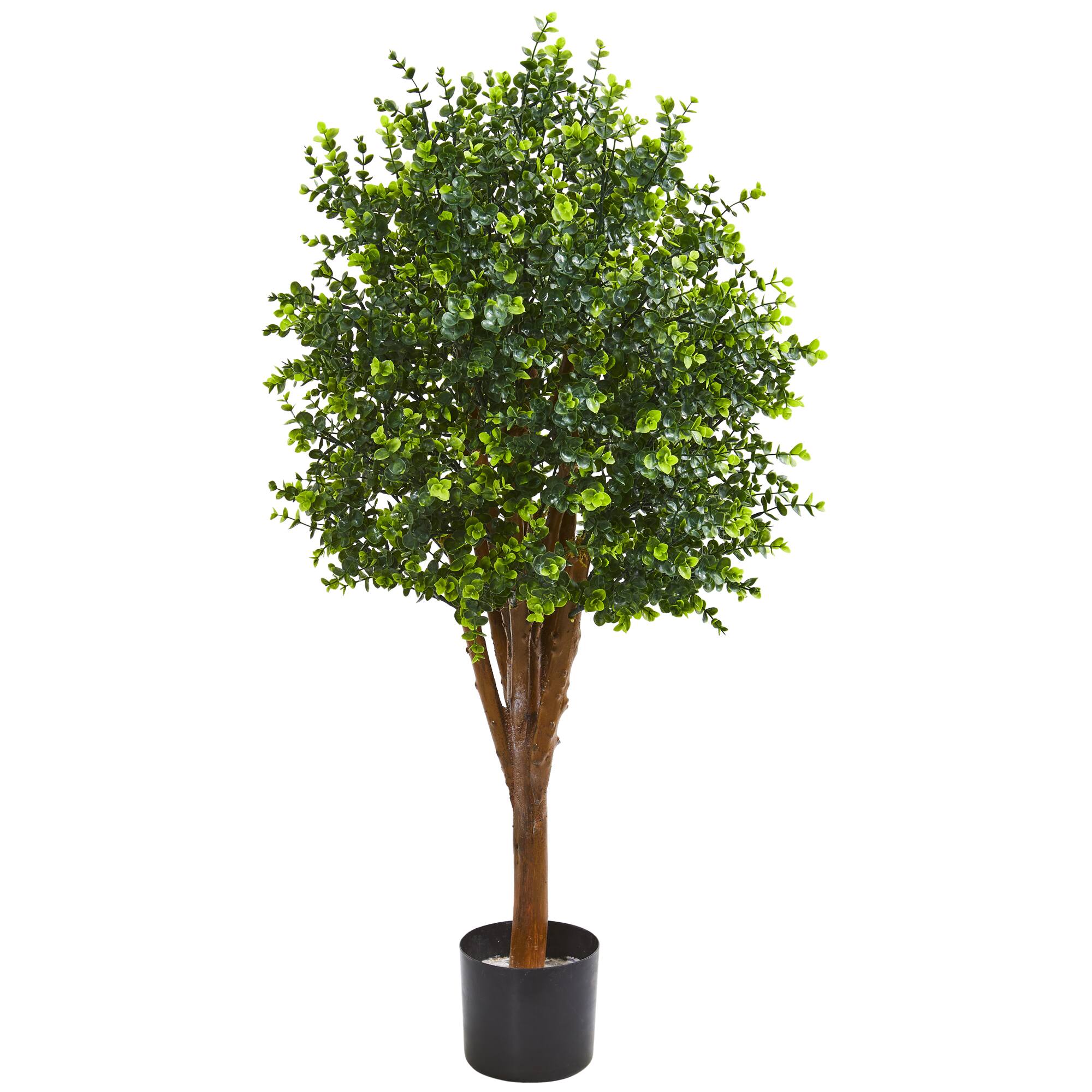 4ft. Potted Eucalyptus Tree